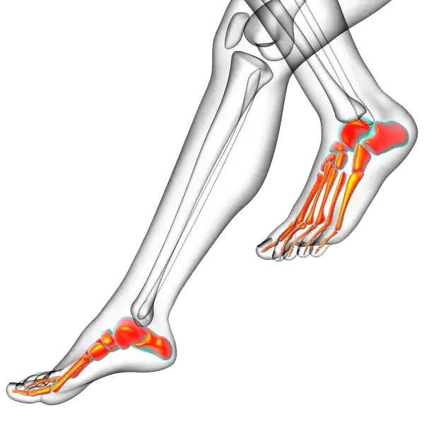 Podologie Basdorf – Logo